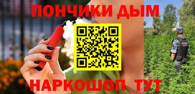 крисы Новозыбков