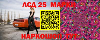 МДПВ Новодвинск