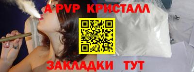 крисы Новозыбков