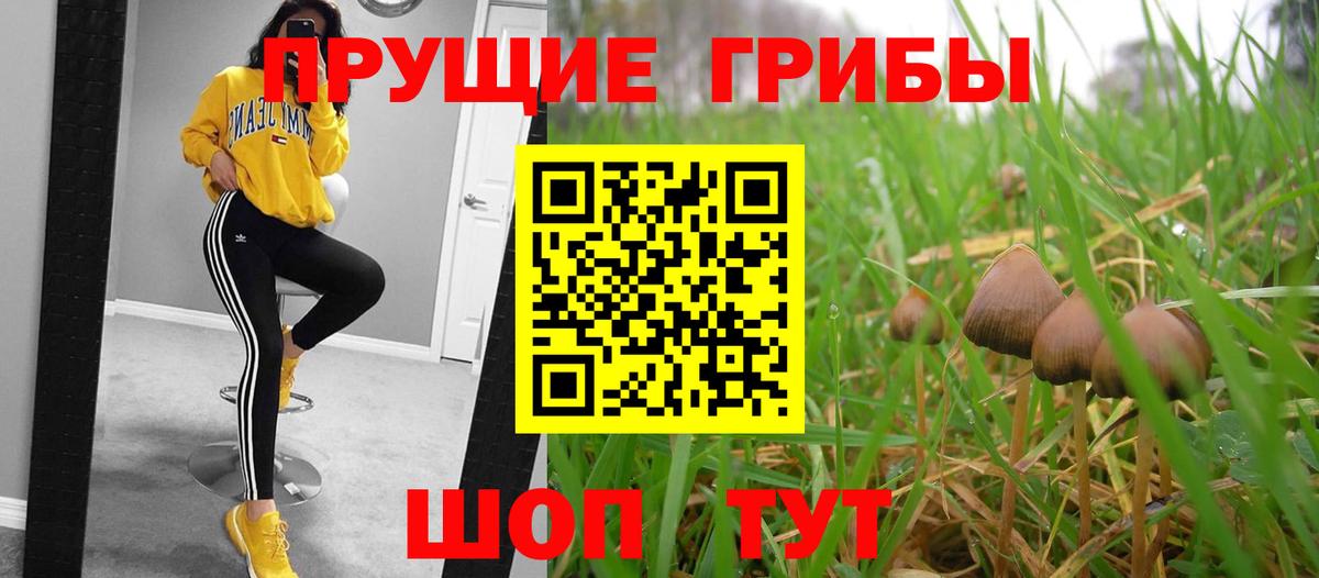 магазин продажи наркотиков  Вход с VPN  Шатура  Галлюциногенные грибы GOLDEN TEACHER 