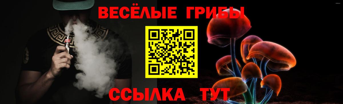 Псилоцибиновые грибы ЛСД Шатура